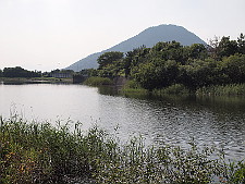 写真拡大