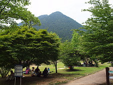 写真拡大