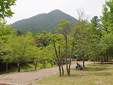 写真拡大