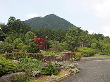 写真拡大