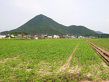 写真拡大