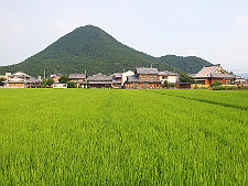 写真拡大