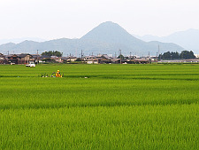 写真拡大
