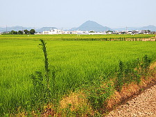 写真拡大