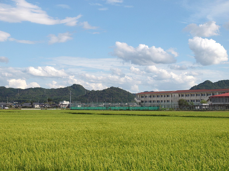 写真拡大