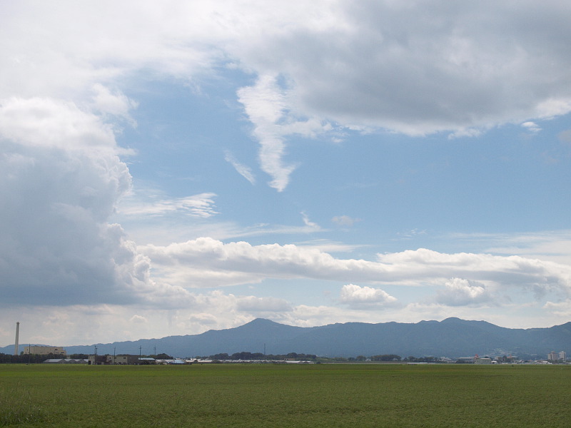 写真拡大