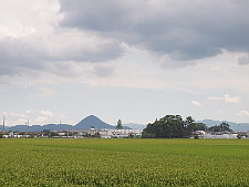 写真拡大