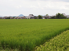写真拡大