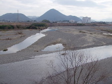 写真拡大