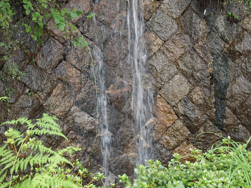 写真拡大