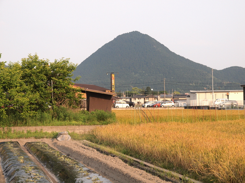 写真拡大
