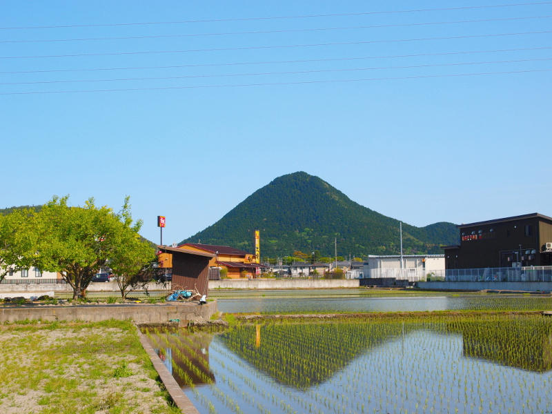 写真拡大