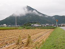 写真拡大