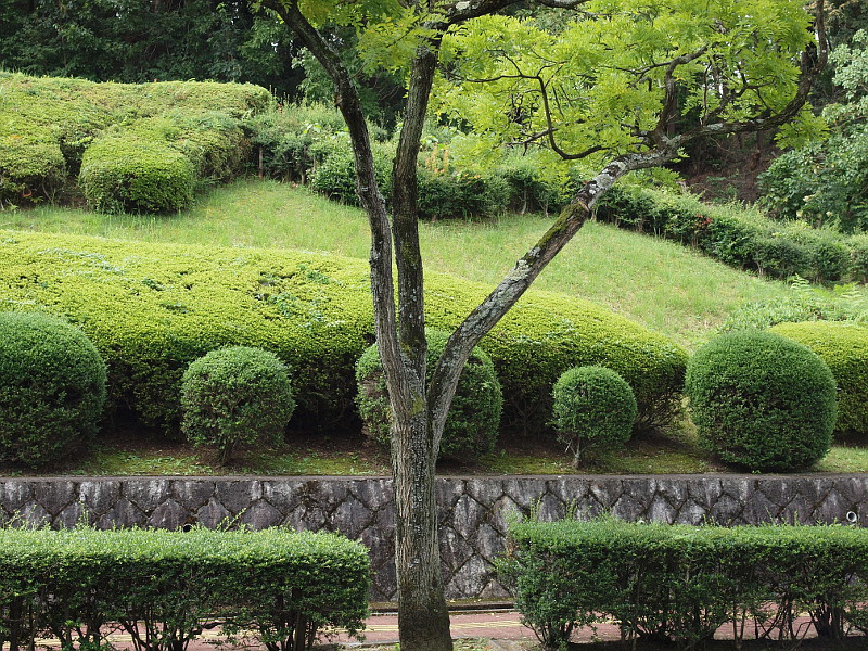 写真拡大