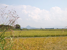 写真拡大