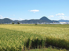 写真拡大