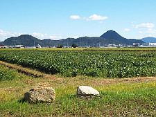 写真拡大