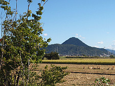 写真拡大
