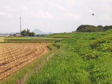 写真拡大