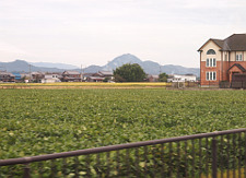 写真拡大