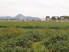 写真拡大
