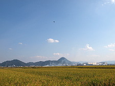 写真拡大