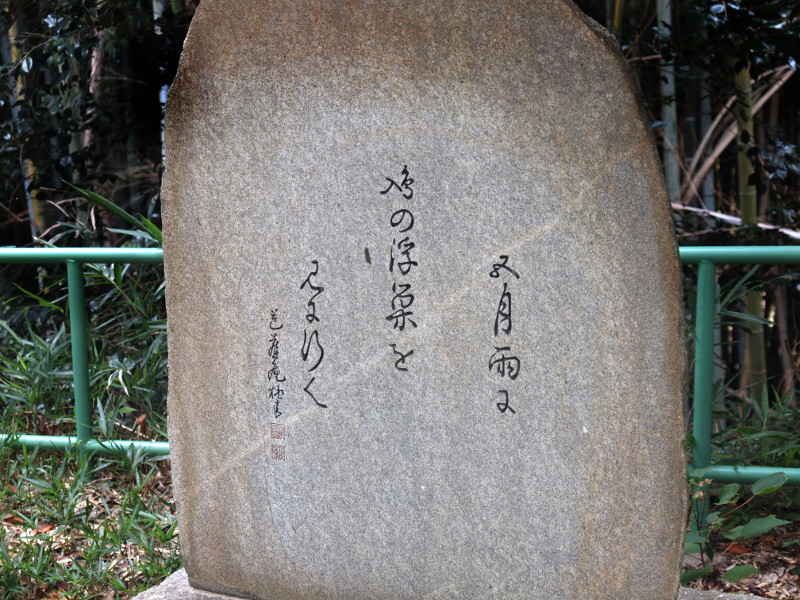 写真拡大