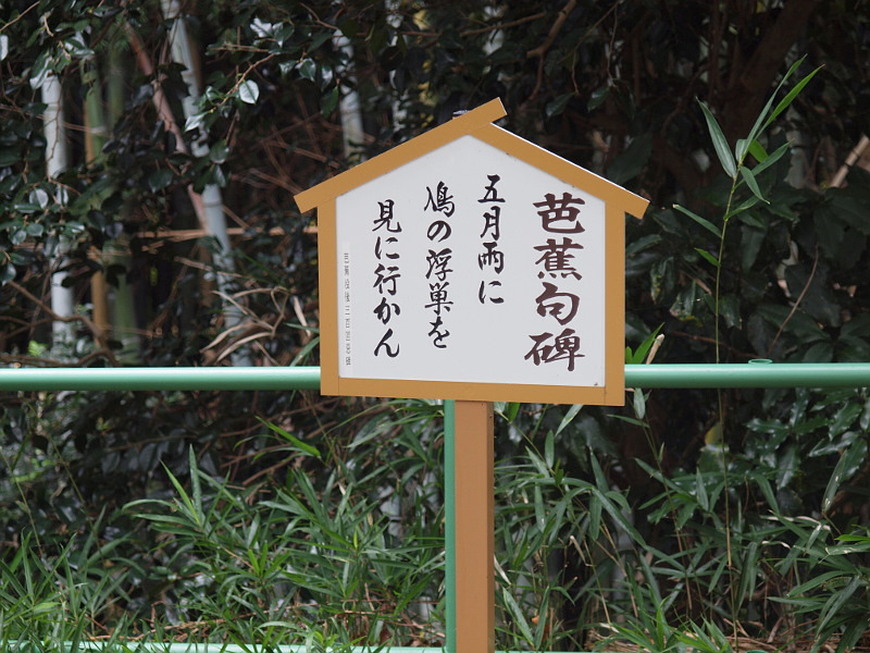 写真拡大
