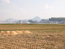 写真拡大