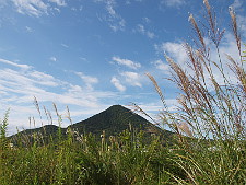 写真拡大