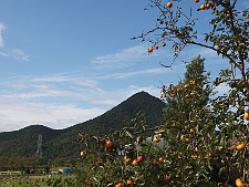写真拡大