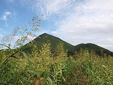 写真拡大