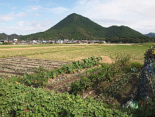 写真拡大