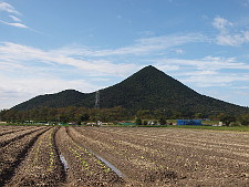 写真拡大