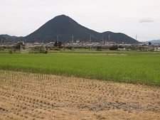 写真拡大