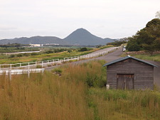 写真拡大