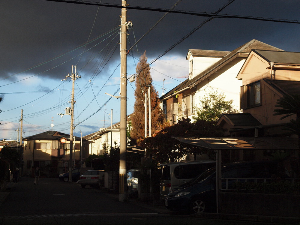 写真拡大