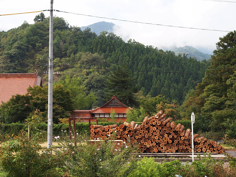 写真拡大