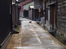 写真拡大