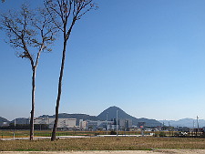 写真拡大
