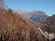 写真拡大