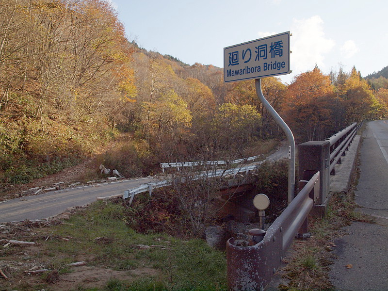 写真拡大