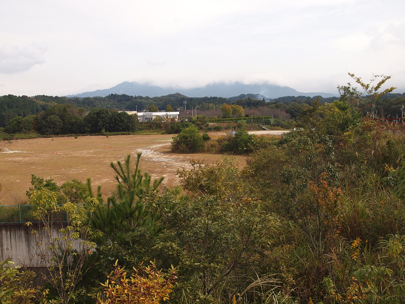 写真拡大