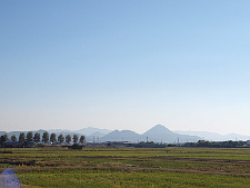 写真拡大
