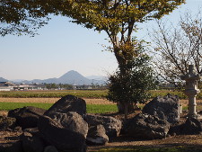写真拡大