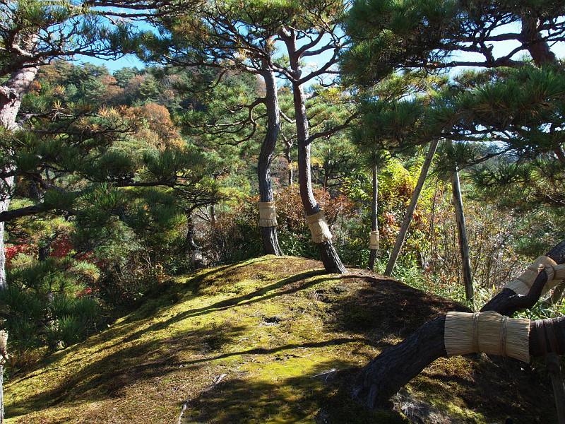 写真拡大