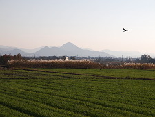 写真拡大