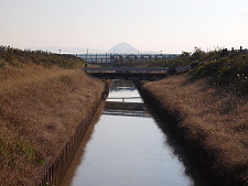 写真拡大