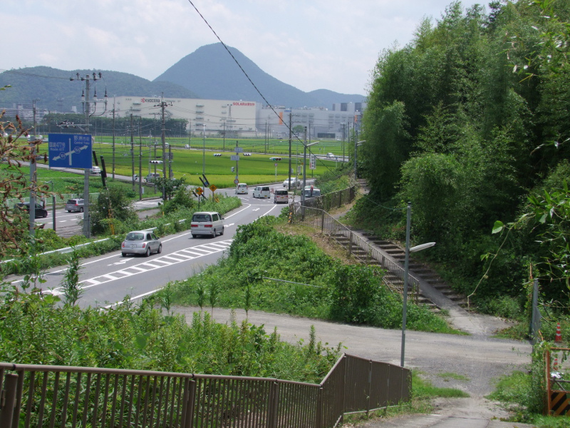 写真拡大