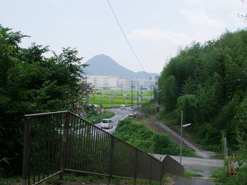写真拡大